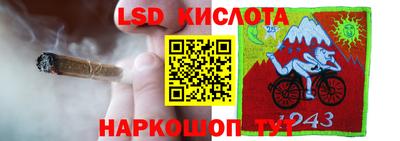 бошки Гай