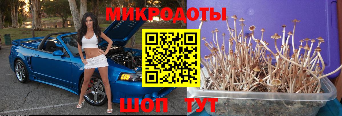 Псилоцибиновые грибы GOLDEN TEACHER  Вход с VPN  Грязи 